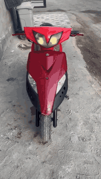 ثعلب 2009 • معدل رياضي • بغداد ثعالبه