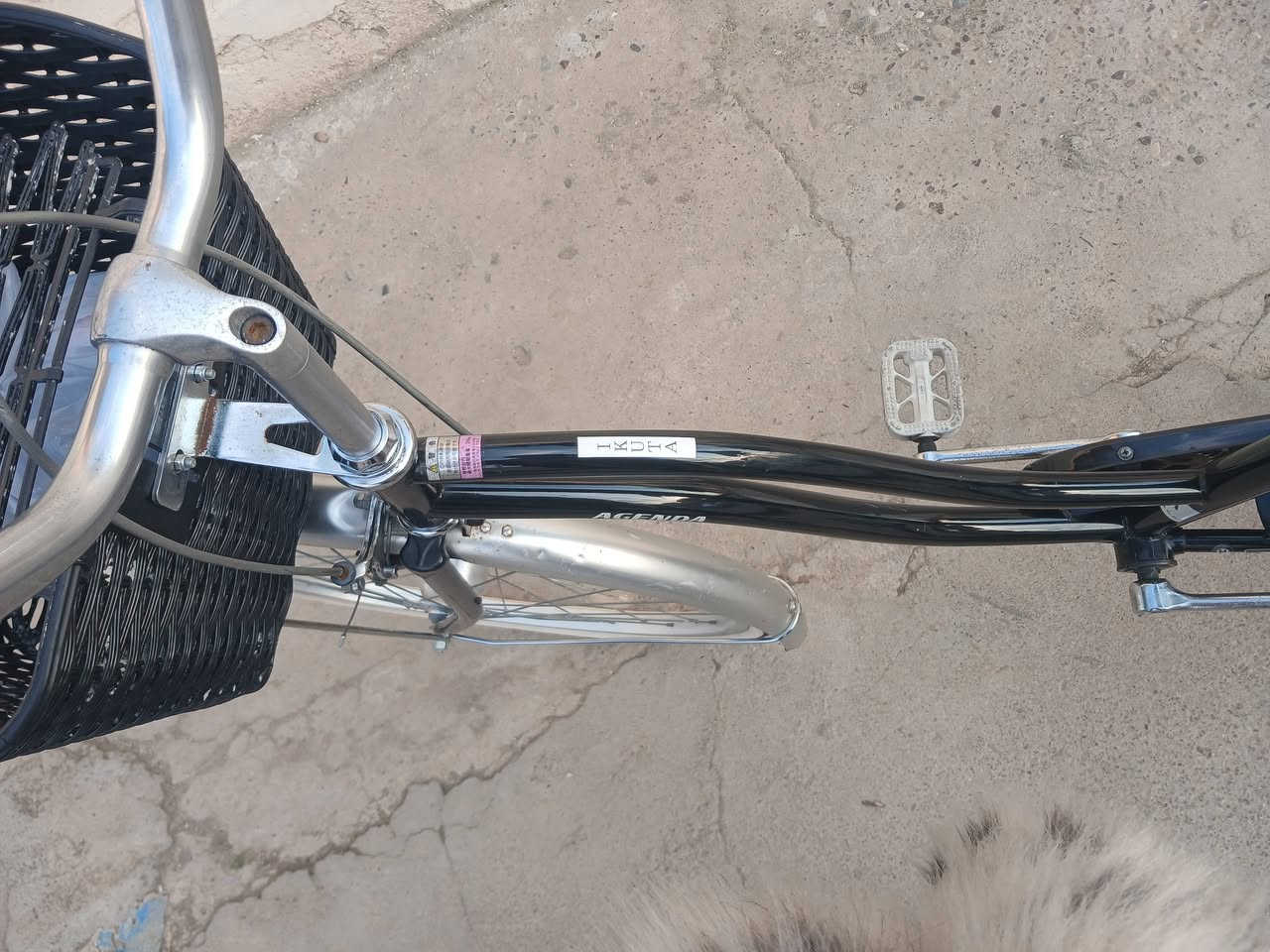 بايسكل عبد الحليم جديد 
الحجم 26 
لون اسود برغي مامفتوح 
السعر 75بي مجال


**إذا كنت صاحب هذا الإعلان وتريد حذفه لأي سبب، رجاءا أرسل رسالة إلى الدعم الفني**