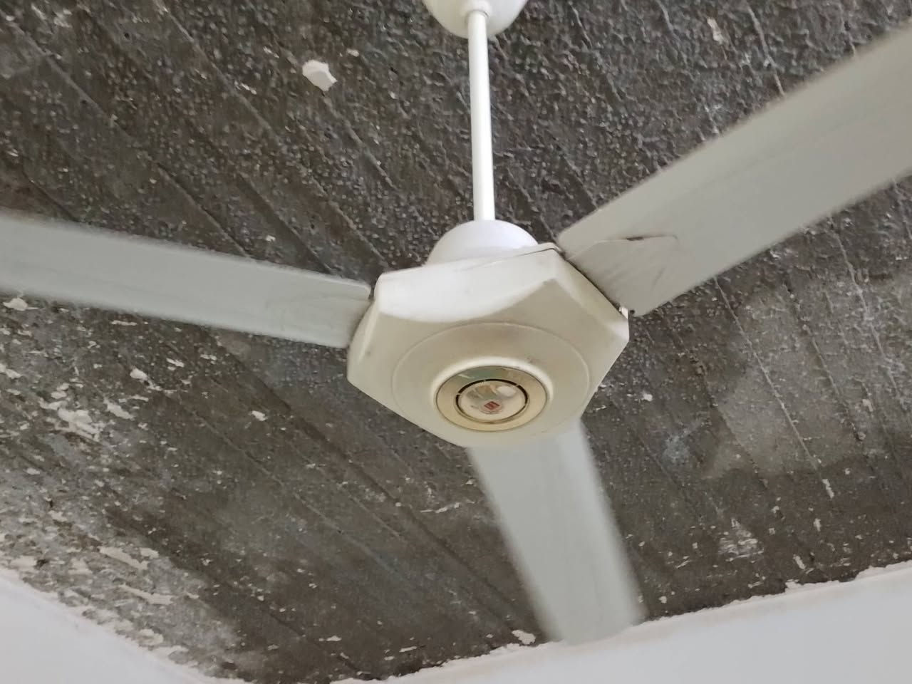 للبيع بانكة صغيرة السعر 10 وبانكة كبيرة 15 وثريا 35 وتكوات مال سيارة النترا وثلاث كلوبات لايت واحد الوحدة ب 1500 وطبلة ب 5 وتريد تشتريهم كلهم ب 45 الاف


**إذا كنت صاحب هذا الإعلان وتريد حذفه لأي سبب، رجاءا أرسل رسالة إلى الدعم الفني**