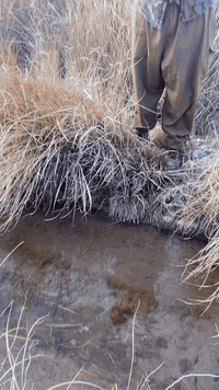 ارض لليجار 14دونم اللستفسار// ‭٠٧٥٠ ٥٣٠ ٤٣٠٧‬