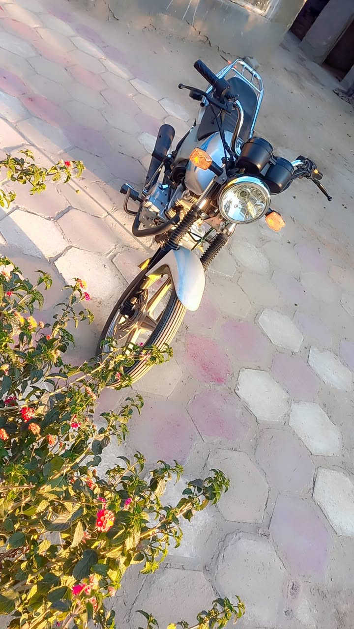 السلام عليكم دراجه دايوان موديل20 كلك مكفول من سرقه كهربائيات شغاله سلف هندر اشايريمنه يسره دبل اشاره دشبول عالي ناصي دراجه جاهزه ماتذب عليه الف لسعره  ٥٥٠ وبيه مجال لطيبين مكاني طويريج 
*********** بي واتساب
