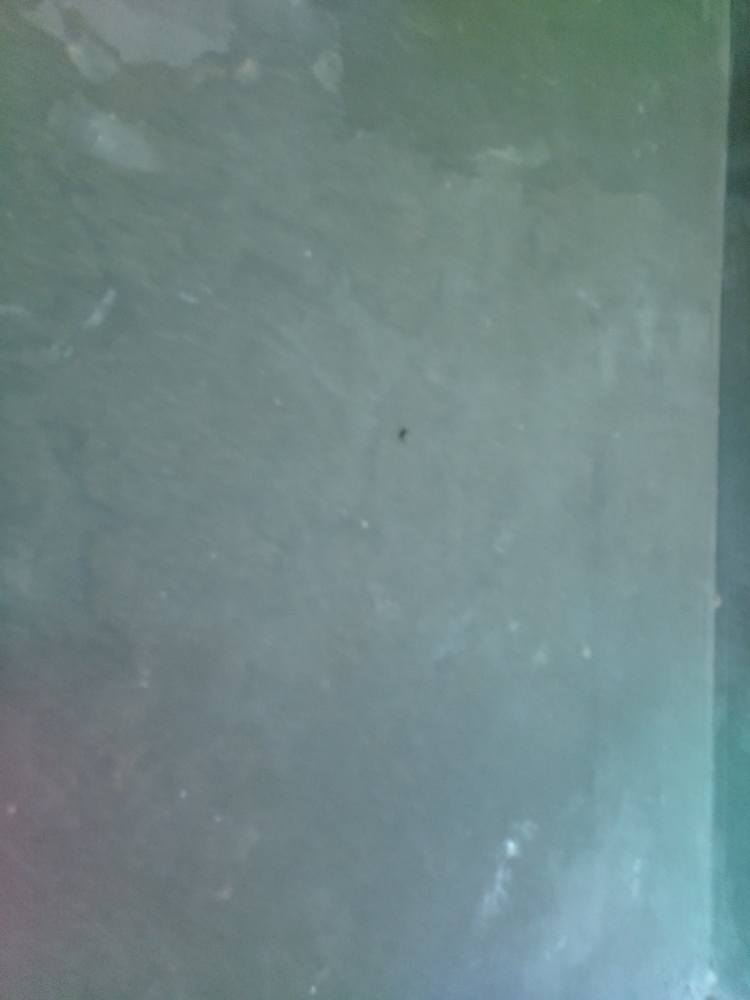 لباخ متفرغ بسعر مناسب السماوا, المثنى


**إذا كنت صاحب هذا الإعلان وتريد حذفه لأي سبب، رجاءا أرسل رسالة إلى الدعم الفني**