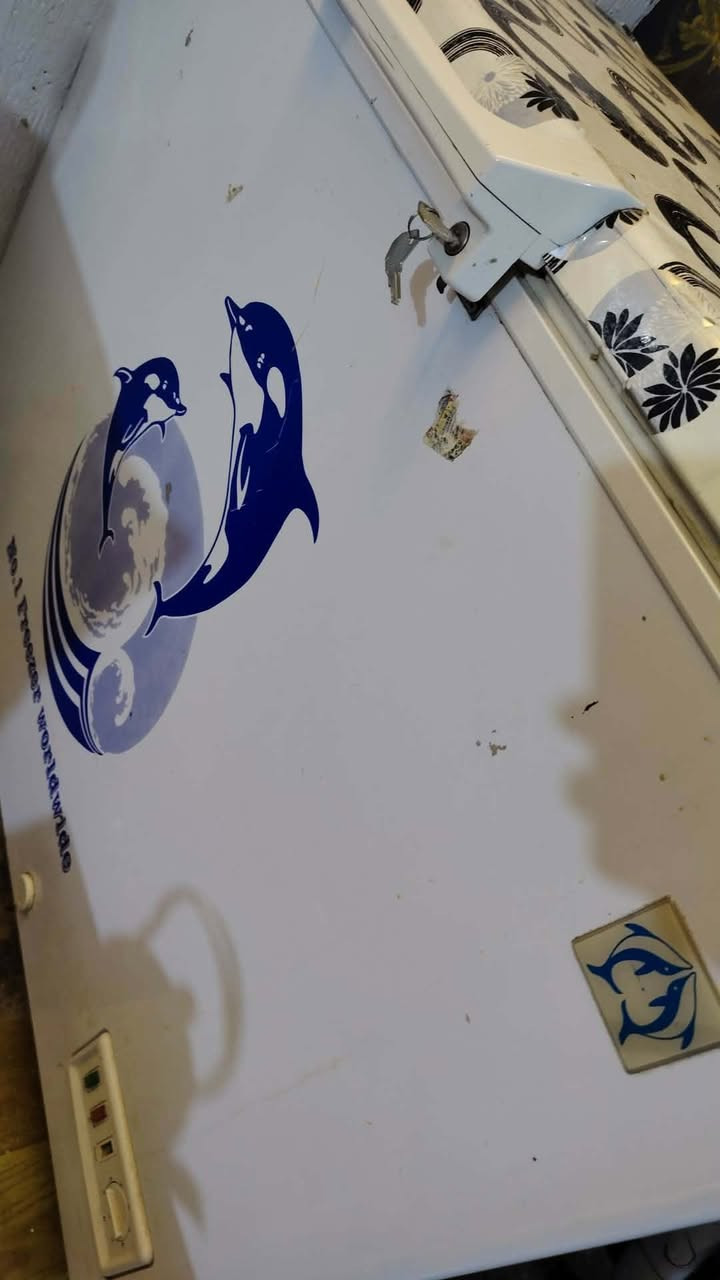 للبيع مجمده بلادي تجميد فول السعر ١٧٠ الف وبي مجال العنوان الرمادي الإسكان القديمه قرب أسواق الفجر التواصل على الخاص


**إذا كنت صاحب هذا الإعلان وتريد حذفه لأي سبب، رجاءا أرسل رسالة إلى الدعم الفني**