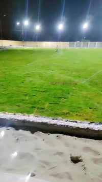 ثيل هندي • تجهيز حدائق • توصيل 24ساعه