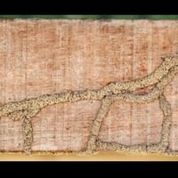 07814581873مكافحة الارضه وجميع الحشرات مع مكتب البركة لمكافحة حشرت الر...