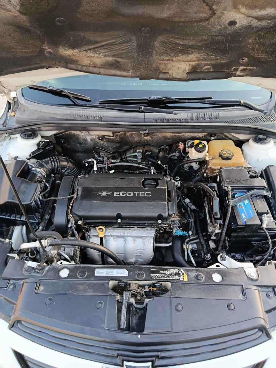 كروز موديل ١٥ مكفولة كفالة عامة
العنوان ديالى ناحية السعدية
#مراوس بتورس ١٢ او ١١ شمالي 
***********
