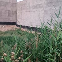 ١٢٥م • واجهة ٦.٢٥×٢٠ • دور الزراعة الرابعة