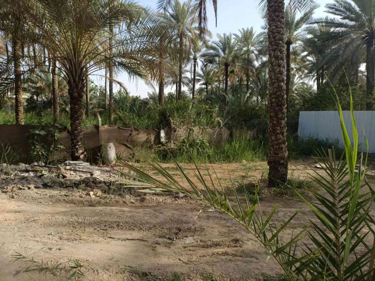 للبيع مساحته 730 متر بستان مع دار 180 متر  قرب البارون اطابقين بيه 4 غرف نوم مع استقبال ومطبخ  وصحيات داخليه وصحيات خارجيه وطارمه والتفاصيل اتصل ***********  *********** واتساب 
قرب البارون     قرب البارون ويبعد عن الشارع الرئيسي 250 متر
