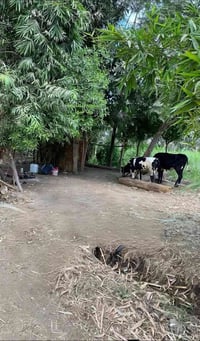 بغداد اليوسفية • ٥ دوانم • طابو زراعي