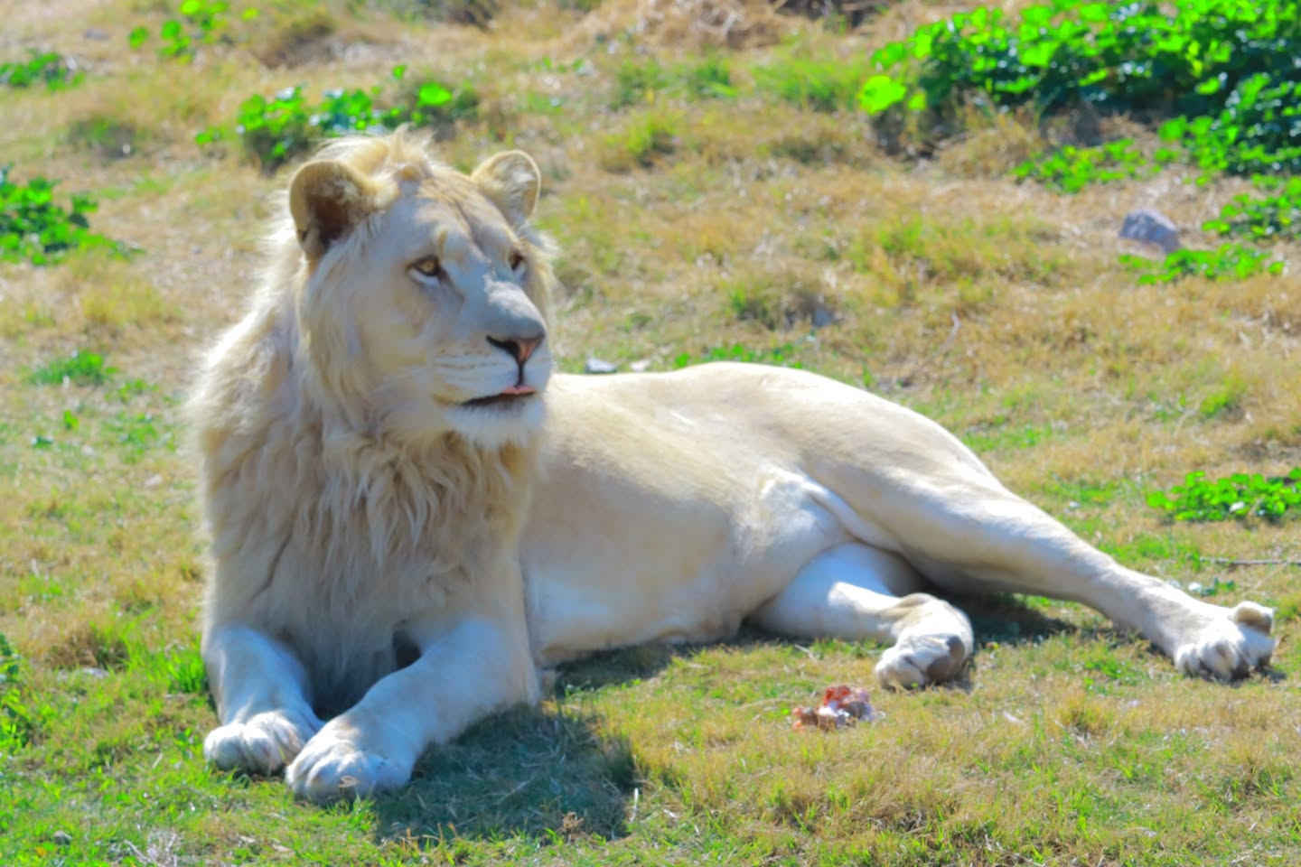 بمناسبة شهر رمضان المبارك متنزه الزوراء يفتتح ابوابه يوميا وعلى مدار الاسبوع من الساعه الــ9 ىصباحا ولغاية ساعات متأخرة من الليل ..
اهلا وسهلا بكم .


**إذا كنت صاحب هذا الإعلان وتريد حذفه لأي سبب، رجاءا أرسل رسالة إلى الدعم الفني**