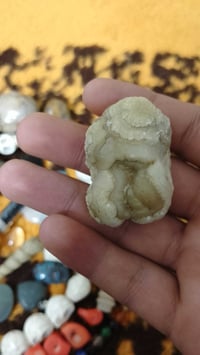 نبلش المزاد ب45 الف  يباع إلى أعلى سعر  07827907238 يوجد توصيل