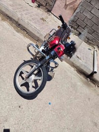 فيوم • موديل ١٦ • اوراق