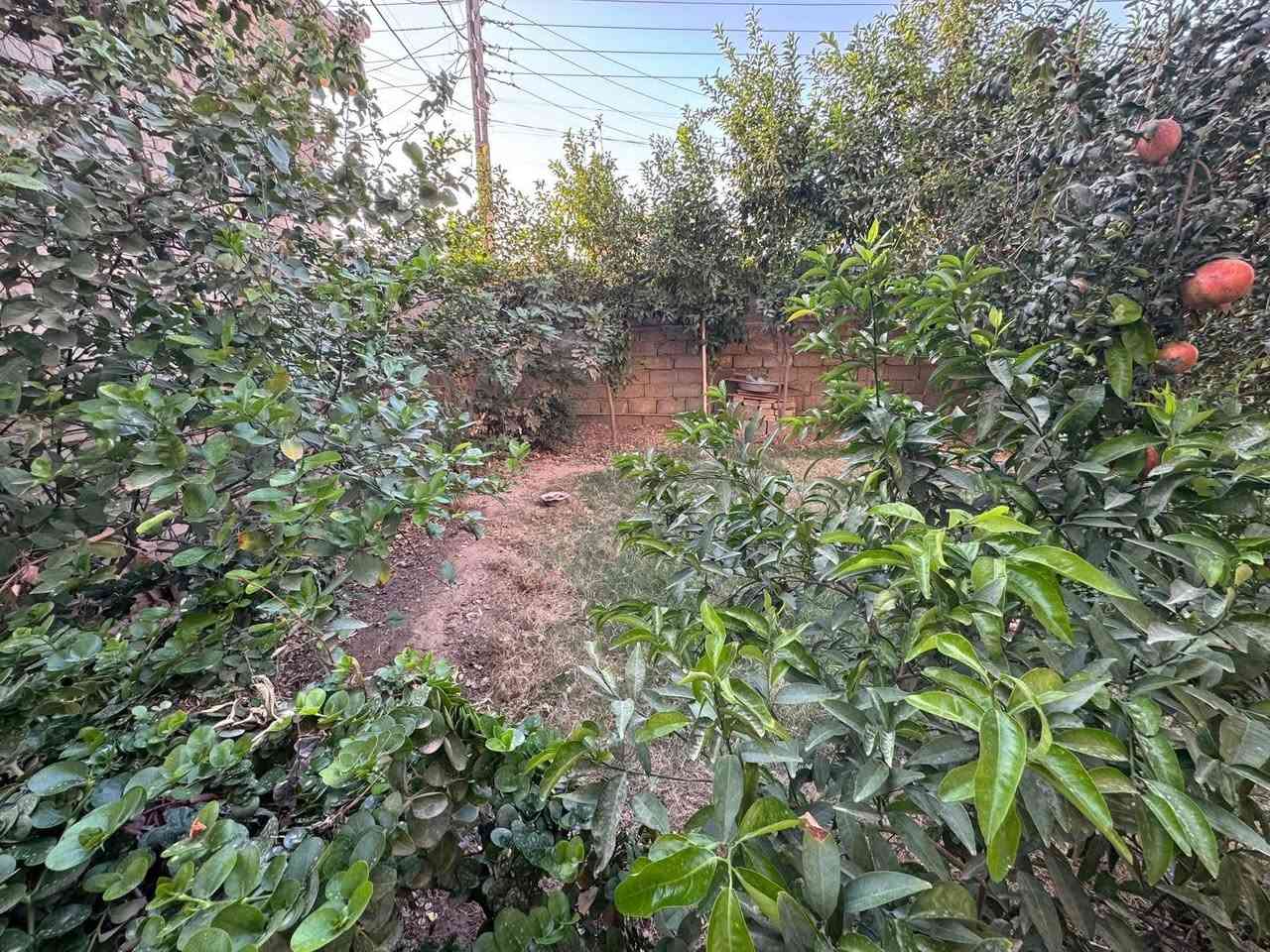 بيت للبيع مساحة 400 م بناء 2017 مسلح طابقين يتكون الاول من استقبال 4.5*9  و هول 5*5 وصاله 5*9 ومطبخ 4*4 وغرف عدد 3 غرفتين 4* 5 و غرفة 4*3 والطابق الثاني يتكون من غرفين 4*4 وصالة 5*6  / عنوان البيت مقابل قاعة الحديد بالمردان قرب أسواق بيت عاصي للاتصال ***********
