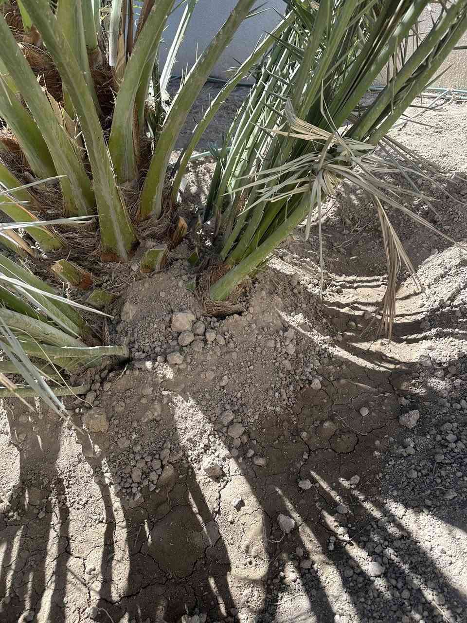 فسائل برحي حر بصرة ابي الخصيب


**إذا كنت صاحب هذا الإعلان وتريد حذفه لأي سبب، رجاءا أرسل رسالة إلى الدعم الفني**