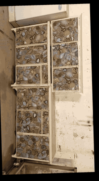 كاونتر • ٣ قطع • سيف البازي