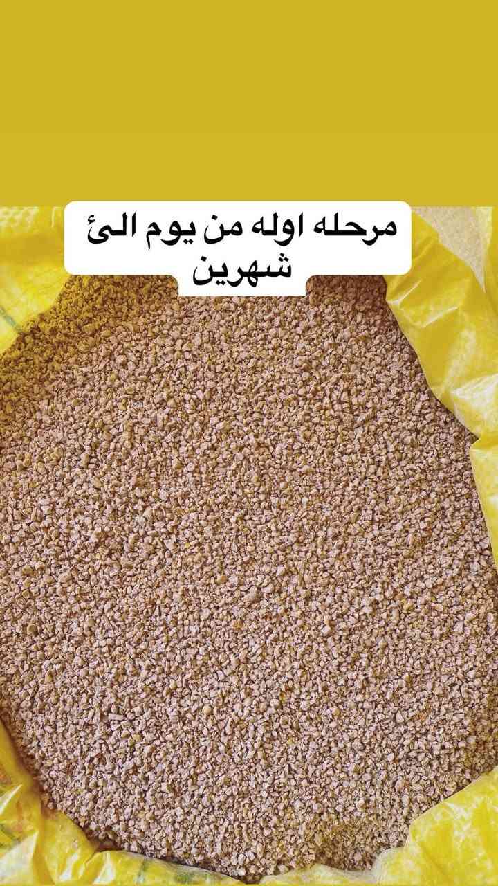 توفر لدينا اعلاف تاج وباج لدجاج البياض 
لدجاج الزينه
دجاج هراتي
دجاج عرب
المكونات
المكونات

برمكس ايطالي وبلجيكي مضاد سالومونيا وايكولاي مضاد كوكسيديا بكل انواعها رافع سموم فطرية ومضاد تعفن وتسمم وفطريات فاتح شهية ورافع مناعة ديجستروم وخميرة تياكس احماض امينية ومعادن وزنك فيتامين وكالسيوم هيدرو بروتين لايسن نيتونين كولين كلورليد مضاد اكسدة - حنطة - ذرة صفراء -
نسبة الصويا - زيت الصويا - ملح طعام مع ٦ انواع أعشاب طبيعيه
عيادة الرحمه البيطريه 
د. بهاء الدين الاعرجي
للاستفسار الاتصال على ***********
الأسعار
مرحله أولى ٢٧ الف
مرحله ثانيه ٢٧ الف
مرحلة البياض امهات ٢٧ الف
مرحلة سوبر بياض ٢٧ الف
