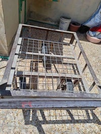 عربانة • كفاءات العبيدي • بيها مجال