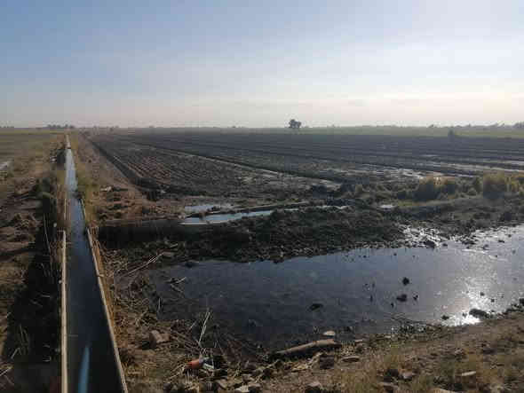 بسم الله الرحمن الرحيم اللهم صلِّ على محمد وآل محمد السلام عليكم ارض للبيع 8دونم منطقة الشيخ عامر تاجي سبع البور ماء كهرباء مدارس اسوق مستشفى الوجهه دونم الواحد ونزال 60 حلوات 💎مرتبات اشتري راحتك🌉 ورحت عائلتك سند 25طابو زراعي عله فلوجه  شارين عليه ذراع دجله ✅سبع البور اتصال ***********يتوفر واتساب 💎
