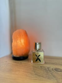 Nishane Ani X عطر (نيشاني اني اكس) الفاخر   يستخدم للجنسين،أداء قوي وث...