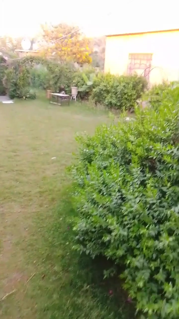 سلام عليكم للبيع مزرعه ***********
