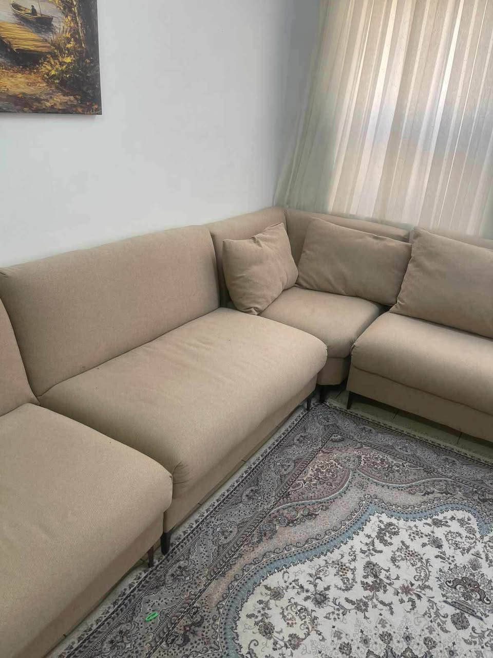 ديوان  تركي درجة اولى فول نضافة سعرة 400 
توصيل موجود


**إذا كنت صاحب هذا الإعلان وتريد حذفه لأي سبب، رجاءا أرسل رسالة إلى الدعم الفني**