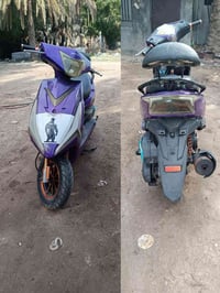 ماكس ثعلب • موديل 23 • بابل محاويل