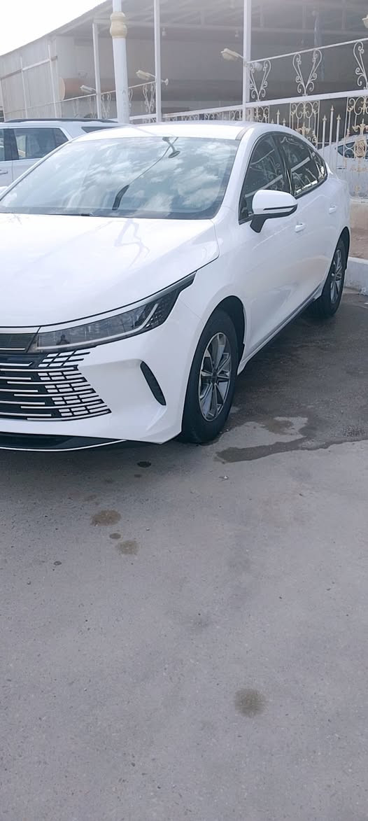 دستروير كفاله بغداد بسمي ماشيه الكلي ١٣ الف السعر ١٨و٩٠٠ ذي قار الحبوبي ***********
