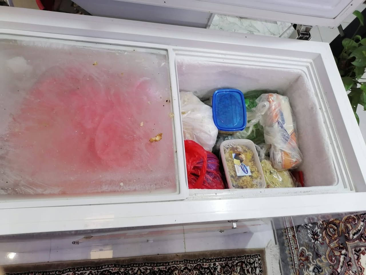 مجمده اخت الجديد استعمال بسيط ب300 سبب البيع حجمه صغيره يردون اكبر عنوان فلوجه حي نزال


**إذا كنت صاحب هذا الإعلان وتريد حذفه لأي سبب، رجاءا أرسل رسالة إلى الدعم الفني**