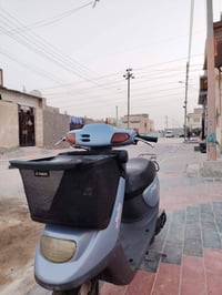 منغولي • ٢٠٠٣ • سلف هندر