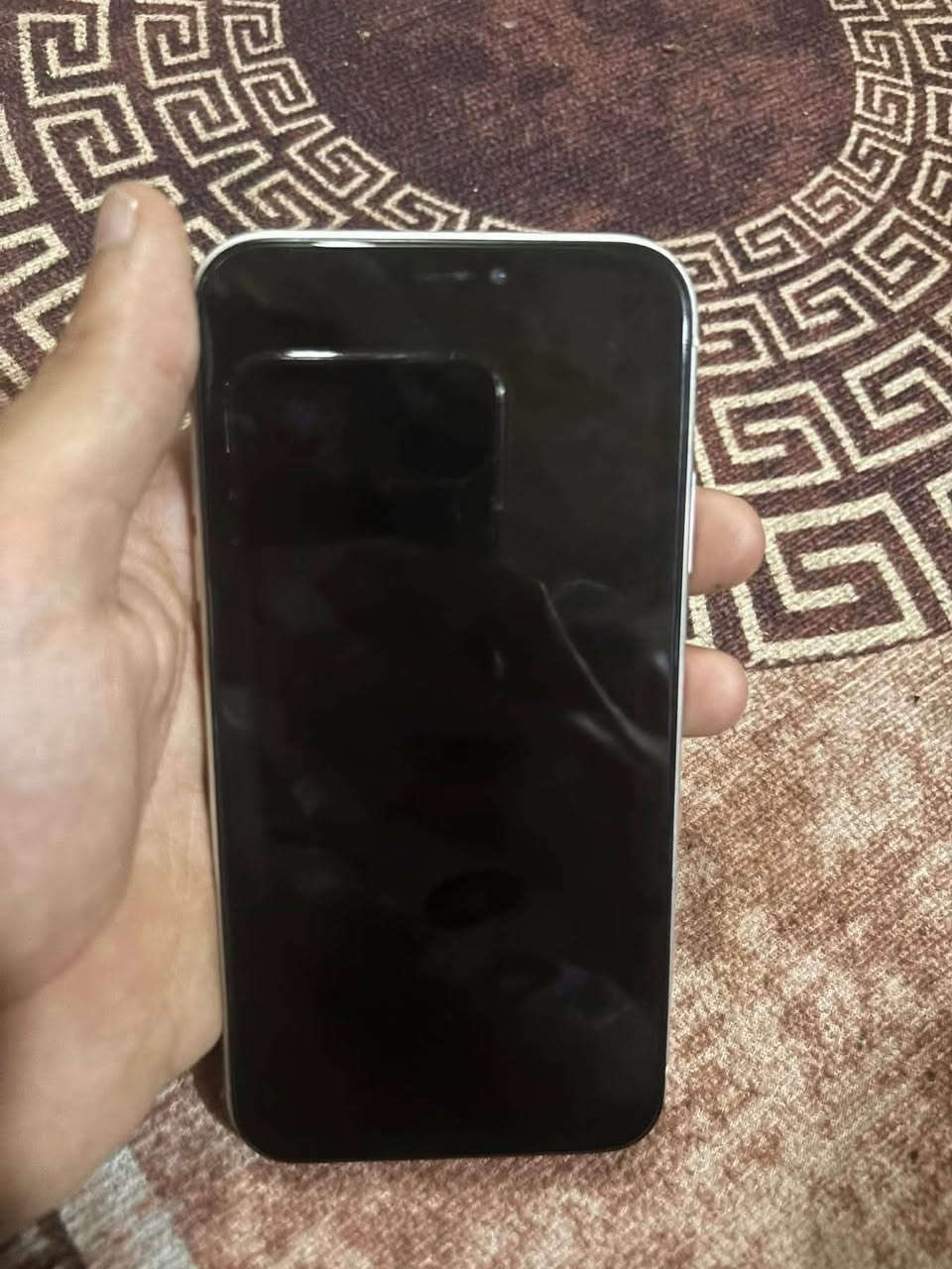 ايفون XR نورمال شرط فول نضافه 
كلشي ما مبدل بي مفتوح منضف سماعات فقط 
ذاكره ٦٤ بطاريه ٧٢ قطاره بل شحن 
فيس ايدي متوقف بل تحديث. الباقي شرط 
للبيع او مراوسه


**إذا كنت صاحب هذا الإعلان وتريد حذفه لأي سبب، رجاءا أرسل رسالة إلى الدعم الفني**