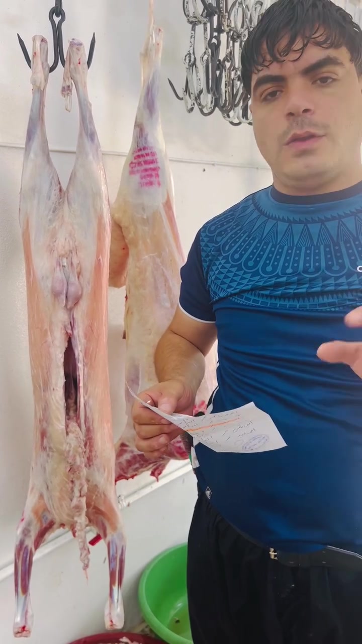 تاريخ النشر 1️⃣ 7️⃣ ٢٠٢٦يوم الأربعاء لحم الطلي ١٣. الف سعر الكيلو ولحم النعجه ١٠الف  قصابه الريان حي الزنجيلي ارخص قصاب بل موصل فهد الشيخ@إشارة


**إذا كنت صاحب هذا الإعلان وتريد حذفه لأي سبب، رجاءا أرسل رسالة إلى الدعم الفني**
