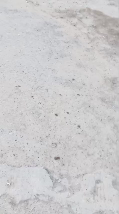 سلام عليكم  بيت البيع العنوان بغداد مدينت الصدر الحميديه سعر 28وبي مجال الاستفسار  ***********بي واتساب
