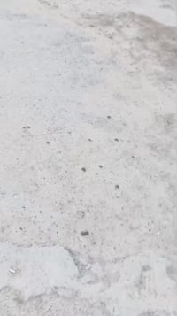 بيت البيع العنوان بغداد مدينت الصدر الحميديه سعر 28وبي مجال الاستفسار ...