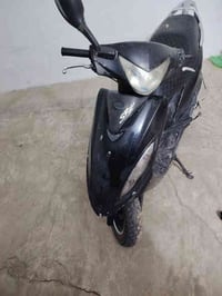 كايمكو • بدون اوراق • الرمادي