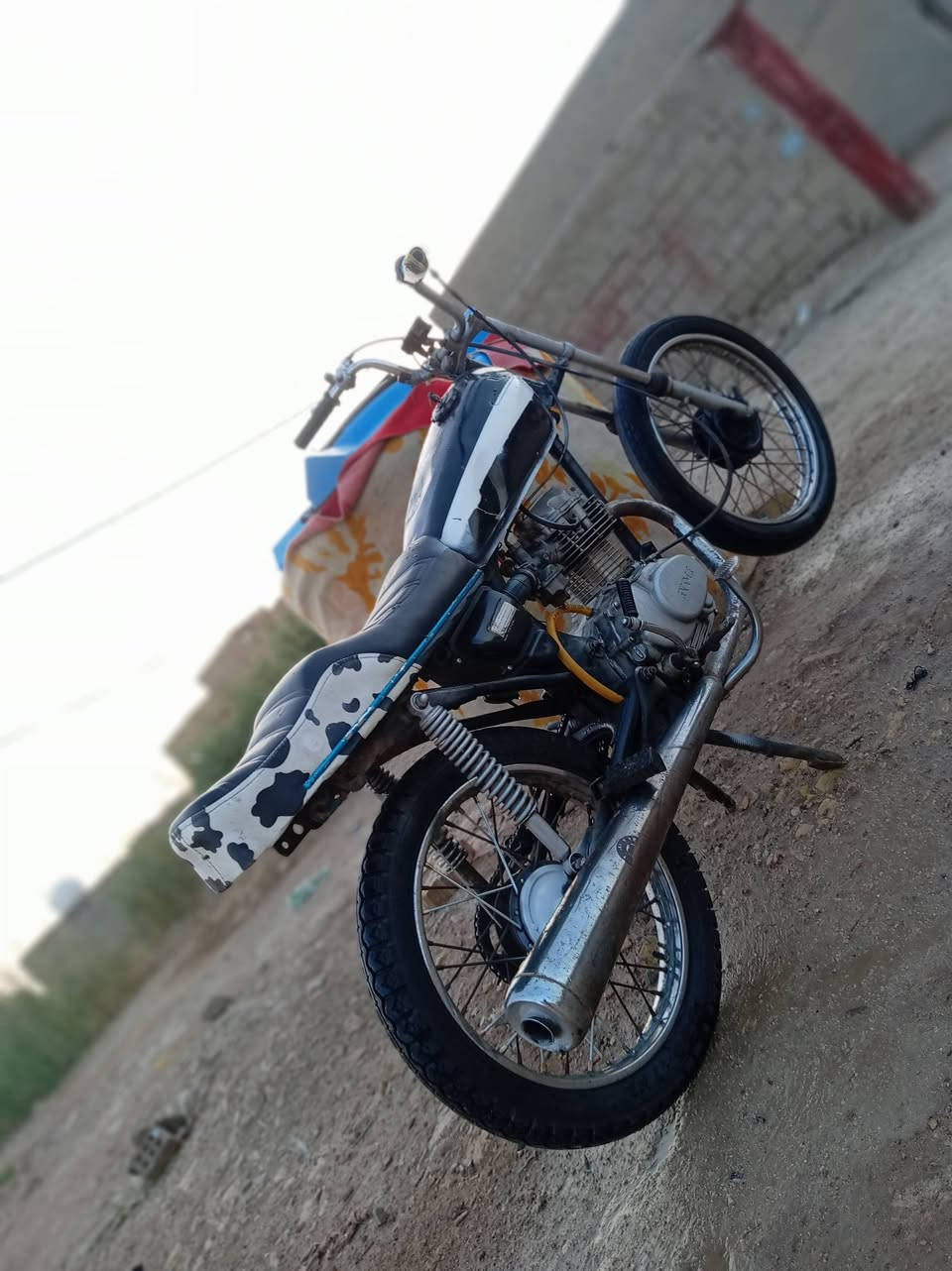 البيع دراجه جاهزه حلوه محرك و شاصي مكفول و سعر خاص 🩵👉🏻👉🏻


**إذا كنت صاحب هذا الإعلان وتريد حذفه لأي سبب، رجاءا أرسل رسالة إلى الدعم الفني**