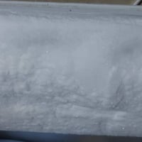 مجمدة • جديدة • ١٦ قدم