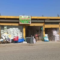 بذور بونكام • بذور ذرة • اللطيفية مدخل المزرعة