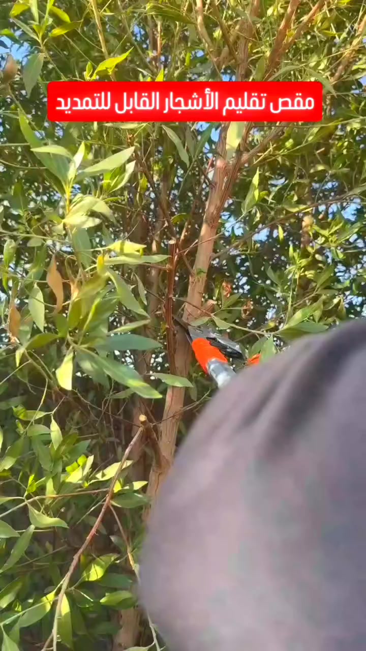 يوجد توصيل لكافة محافظات العراق 🇮🇶
للحجز ارسل ✍️ الاسم الرقم العنوان .


**إذا كنت صاحب هذا الإعلان وتريد حذفه لأي سبب، رجاءا أرسل رسالة إلى الدعم الفني**