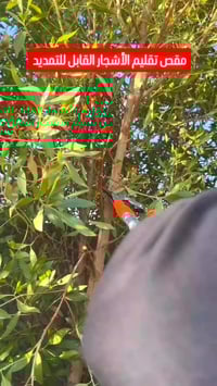 ديكور منزلي • حدائق • توصيل لجميع المحافظات