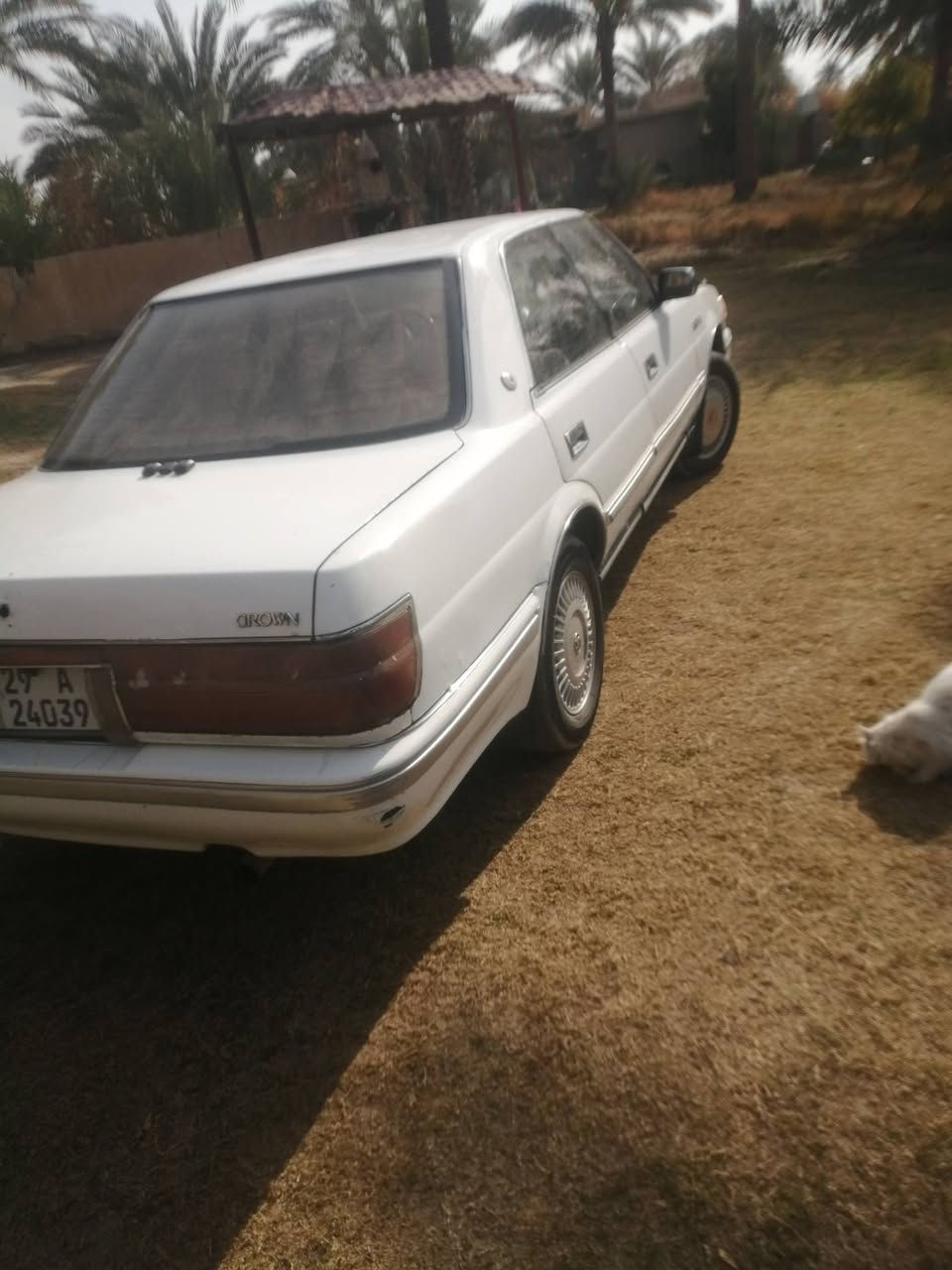 هارتوب موديل 90باسمي جاهزه كهربائيات تبرد شغال رايد مراوس ببروتون مكاني بغداد ابي غريب واتساب مفتوح ***********
