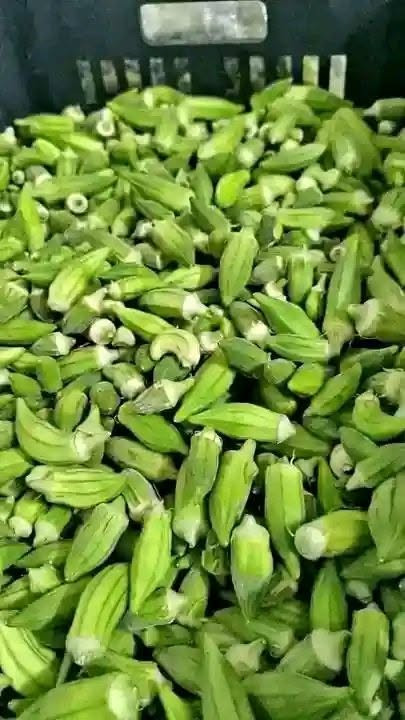 السلام عليكم
حوي بانيه جديد كل يوم بيوم الكيلو ب1500 لو بيه هم ع الف 1500 الحجز  واتساب واكو توصيل
***********
