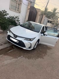 كورلا • ٢٠٢٤ • نجف
