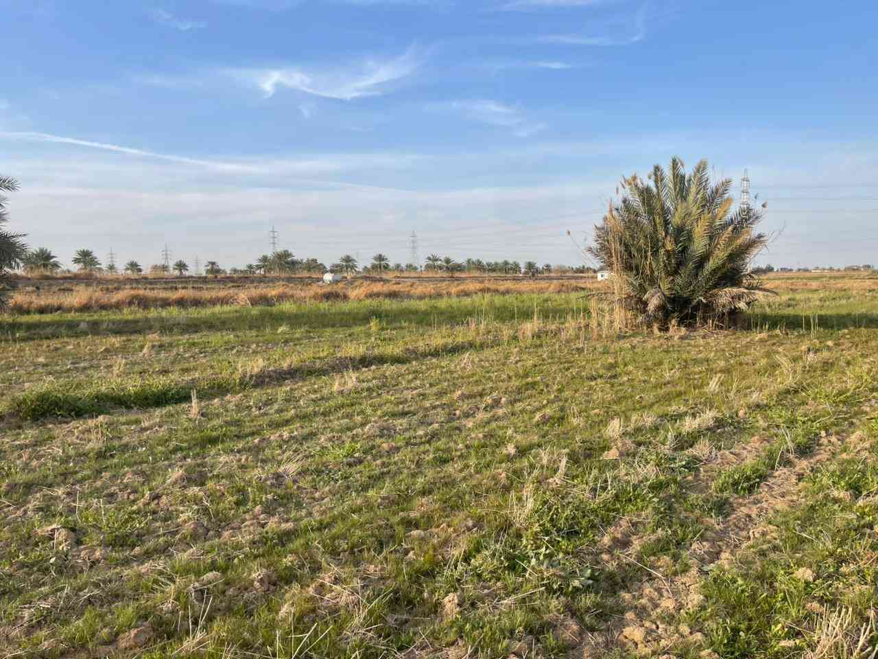 قطعة أرض للبيع....
طابو زراعي سند ٢٥ تحويل مباشر
الموقع الرمادي ناحية اليرموك تقع مابين مزرعة شيخ إحسان
والعرب قريبة من جميع الخدمات 
المساحة أربع دونم تباع حسب الطلب دونم او دونمين ثلاثة
الأرض صالحة للزراعة او اي مشروع استثماري
للسعر والاستفسار أكثر اتصال على الأرقام التالية
*********** واتساب
*********** واتساب
او مراسلة الصفحة في اي وقت نعتذر عن التأخير عن الرد في بعض الأحيان
نستقبل جميع العروض العقارية في مدينة الرمادي
ابو احمد
