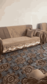 تخم مستعمل للبيع السعر 150 وبي مجال بسيط للاتصال ***********
