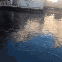 شركة الجوهرة 07886230906 لدينا كوادر عمل متكامل  اسعارنا تنافسية وضمان...