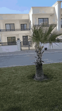 ڤێلای پاک لاند 
کۆمپانیای عقاراتی باغی ئاڤا

ناونـــیشان : هەولێر - پڕۆژەی پاک لاند - پشت پارکی ماجدی لانــــد

بۆ دەستکەوتنی زانیاری تەواو نامە بنێرن یان پەیوەندی بکەن 
ژمارە تەلەفۆن :  0750 458 00 56 - 0770 458 00 56 

کۆمپانیای عقاراتی باغی ئاڤا
