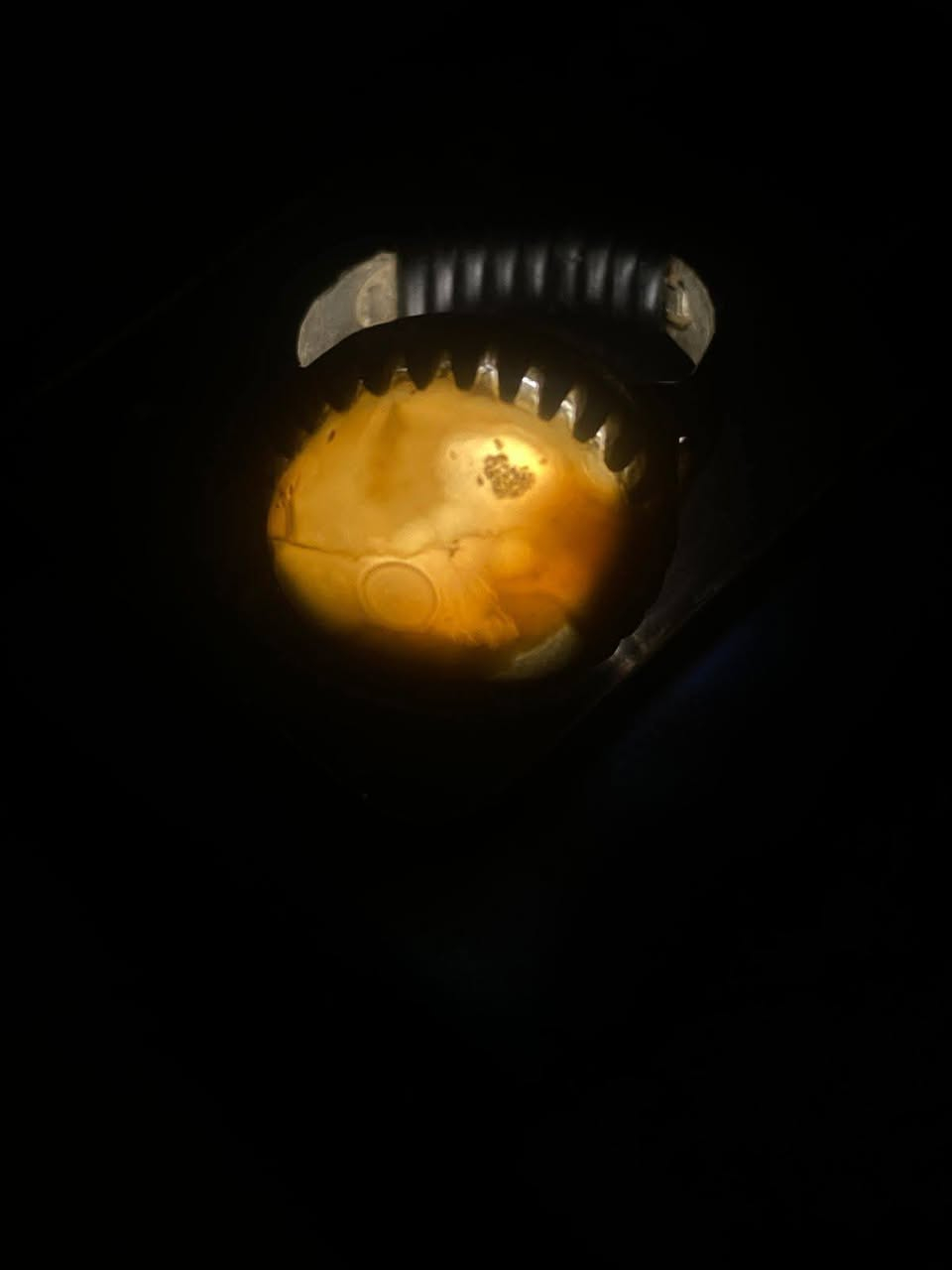 السلام عليكم.
سليماني للبيع  السعر خاص


**إذا كنت صاحب هذا الإعلان وتريد حذفه لأي سبب، رجاءا أرسل رسالة إلى الدعم الفني**