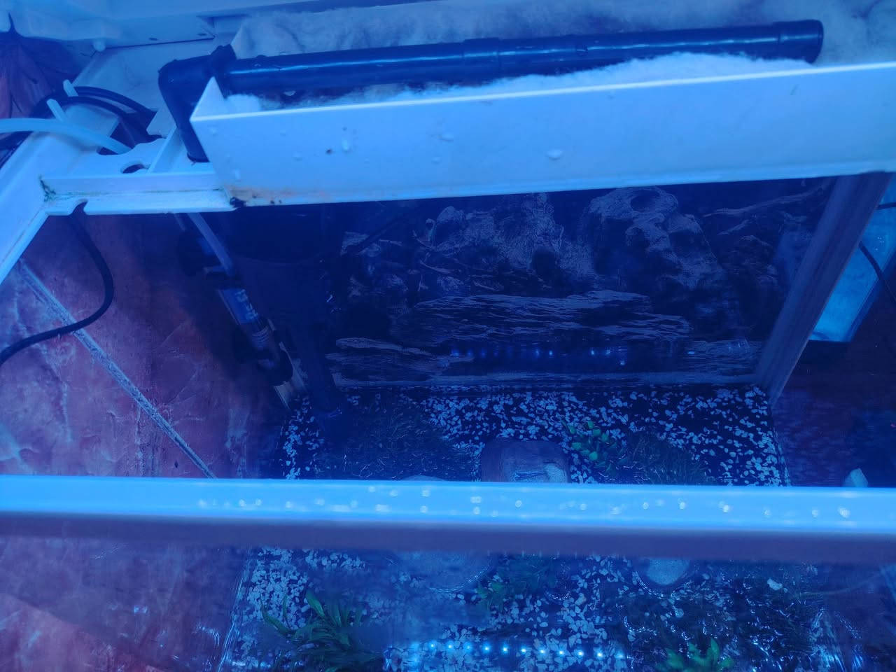 متاح حوض سمك صيني جاهز فلتر سقفي محرار مع كافة التجهيزات يحتاج فقط سمك القياس 40 سم السعر خاص


**إذا كنت صاحب هذا الإعلان وتريد حذفه لأي سبب، رجاءا أرسل رسالة إلى الدعم الفني**