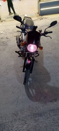 بوكسر • ٢٢/٢٣ • اوراق كامله