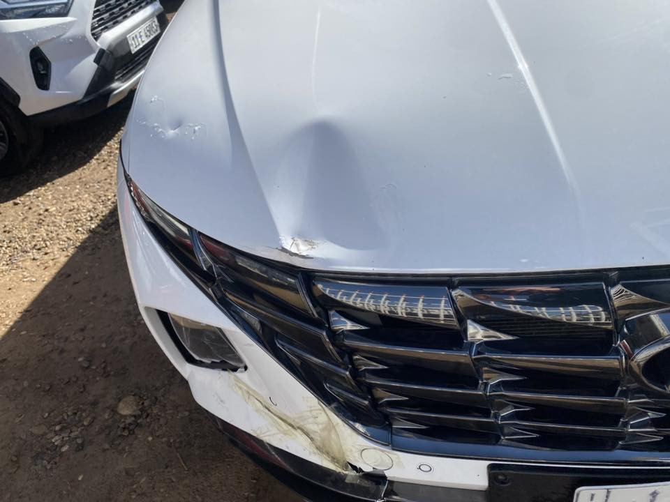 السلام عليكم
توسان ٢٠٢٤
رقم بغداد تحويل ثاني يوم 
فول مواصفات ١/١
بانورما
بصمة 
شاشة جبيرة
تبريد لمس
كشنات كهرباء
العنوان ديالى جديدة الشط 
للستفسار ***********
السيارة كفالة عامة ما عدى الموضح بل صور
